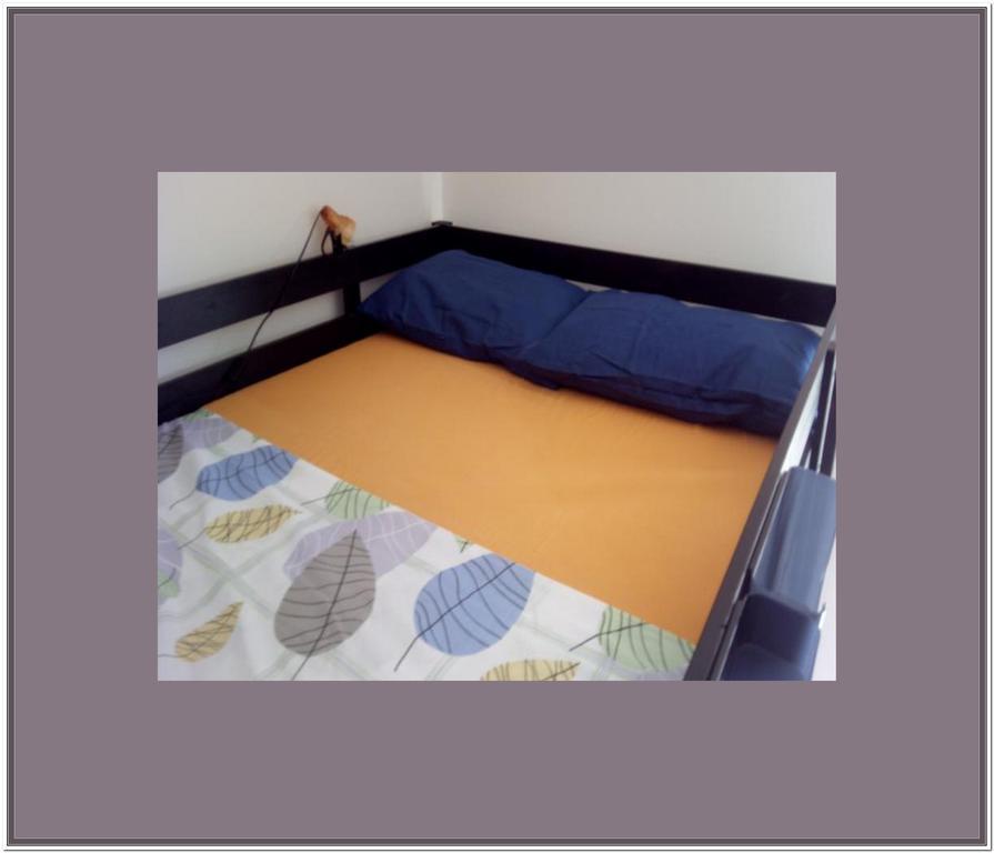 Bed & Breakfast‎ Asinelli Bologna Esterno foto