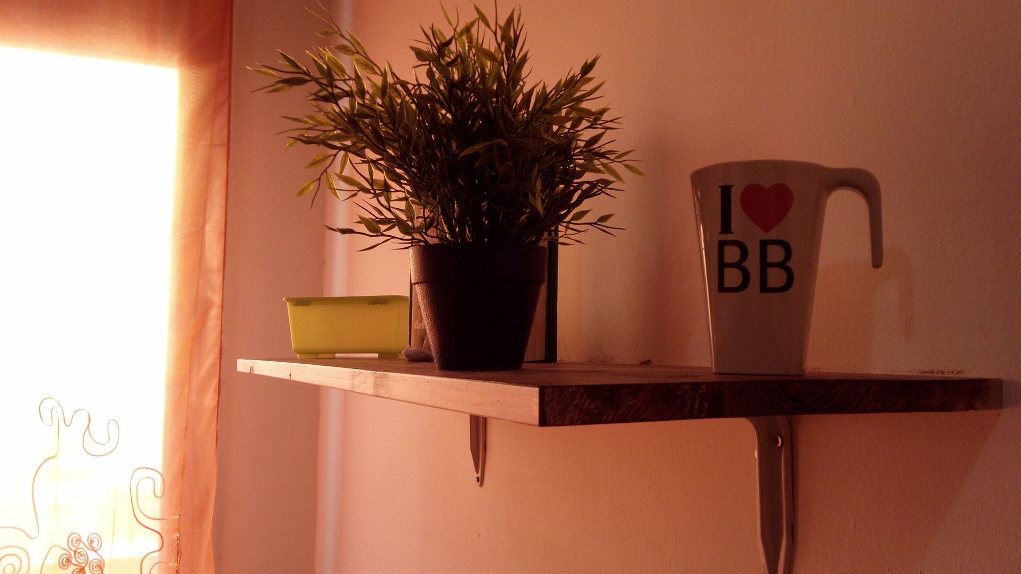 Bed & Breakfast‎ Asinelli Bologna Esterno foto